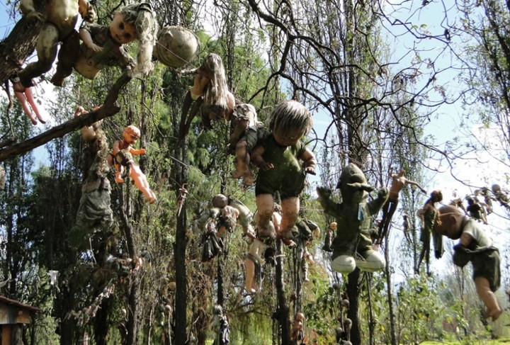 Hòn đảo búp bê ở Mexico:  Địa điểm ma quái rất kì lạ bởi phần lớn cư dân là những con búp bê trẻ em với hình thù đáng sợ. Vào năm 1950, Julián Santana Barrera-một người sống ẩn dật đã bắt đầu thu thập những con búp bê bị bỏ rơi và mang về hòn đảo ở phía nam thành phố Mexico.Việc làm của ông nhằm an ủi linh hồn một bé gái xấu số đã bị chết đuối. Sau đó chính ông Barrera cũng được tìm thấy bị chết đuối vào tháng 9/2001. Bộ sưu tập với hơn 1000 con búp bê hiện vẫn còn tồn tại cho tới tận ngày nay.